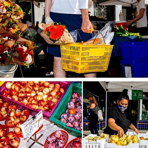Sunday Farmers Market at Marin Civic Center - March 2024 | Marin ...