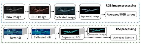 Precise Estimation of NDVI with a Simple NIR Sensitive RGB Camera and ...