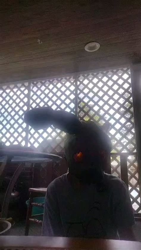 Image result for Real Life Spring Trap