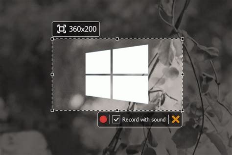 Recording Software for Windows 的图像结果