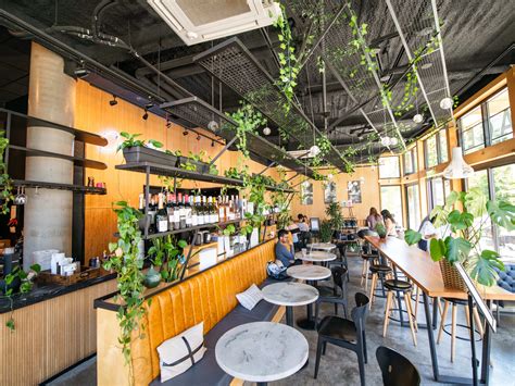 Lula Coffee Co. - Review - Sodo - Seattle - The Infatuation