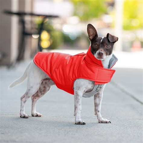 Questions and Answers about FURHAVEN Reversible Reflective Puffer Dog Coat