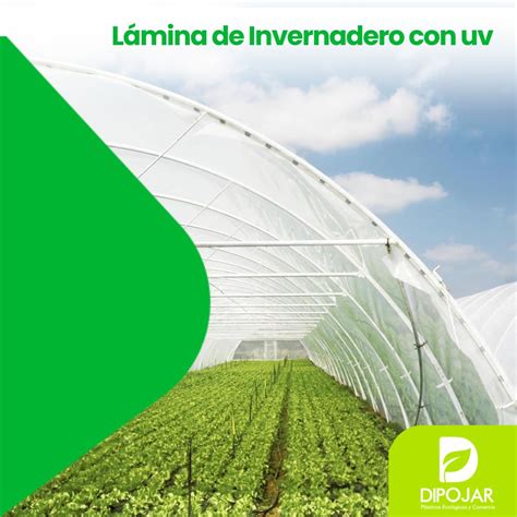 Plástico para invernadero - Plasticos Jaramillo | Plasticos en Ecuador