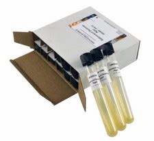 Sabouraud Dextrose Agar Slant Tubes, Pack of 12 - | Ubuy India