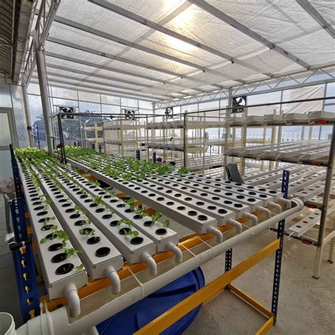 Build a NFT Hydroponic System Using 50Mm PVC 的图像结果