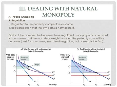 Regulated Monopoly Graph 的图像结果