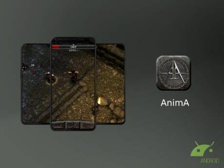 AnimA è un hack'n'slash dark fantasy in stile Diablo