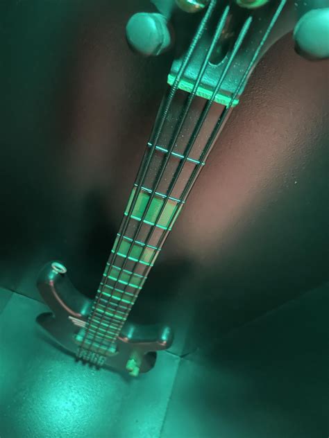 Peter Steele Type O Negative bass build. : r/BassGuitar