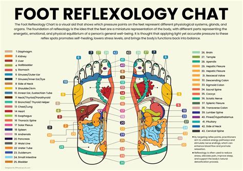 Foot Reflexology Pressure Points Chart - WordLayouts