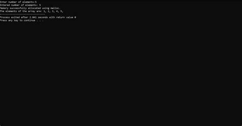 Malloc Dynamic Array 的图像结果