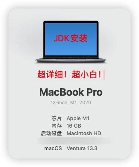 Configuring Java in Mac M1 的图像结果