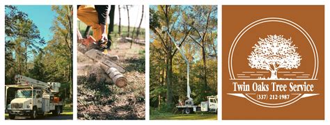 Image result for Tree Logging Service