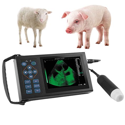 Buy BILXXYVeterinary Ultrasound Machine, Breeding Farm Pregnancy ...