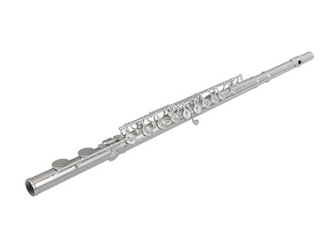 The Flute Family Musical Instruments at Stephanie Watt blog