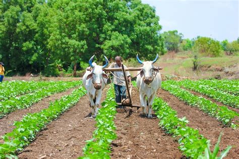 Image result for Farming Simulator 19 Mods.com