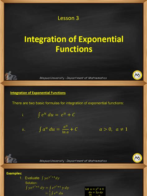 Integration of Exponential Function 的图像结果