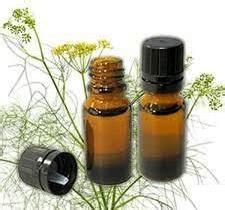 Tuberose Absolute Oil,Pure Tuberose Absolute Oil Exporters