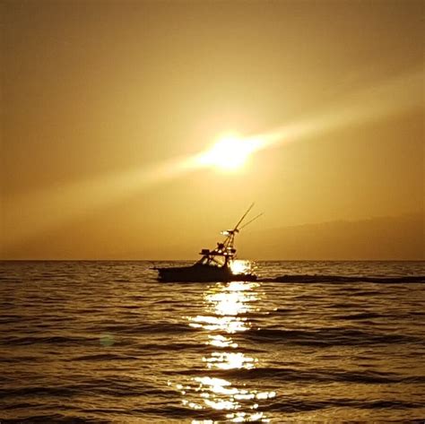 ROYAL BOAT - All You Need to Know BEFORE You Go 2026 (with Photos ...