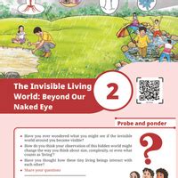 NCERT Textbook: The Invisible Living World: Beyond Our Naked Eye ...