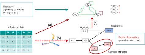 Image result for Boolean Network Python