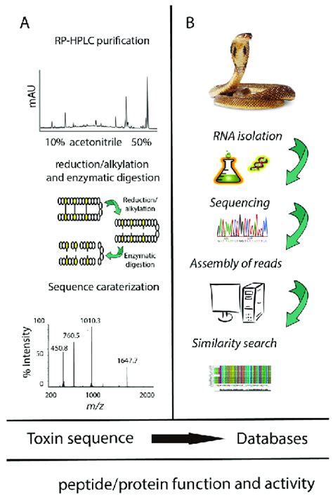 Image result for Transcriptomics Databases
