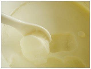 自制老酸奶的做法_自制老酸奶怎么做_自制老酸奶的家常做法_梦想的翅膀【心食谱】