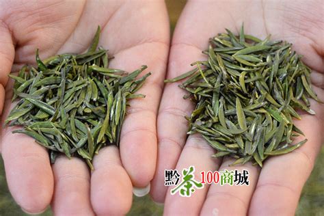 贵州茶叶公司,茶叶基地,贵州茶叶生产_贵州正山堂普安红茶业有限责任公司