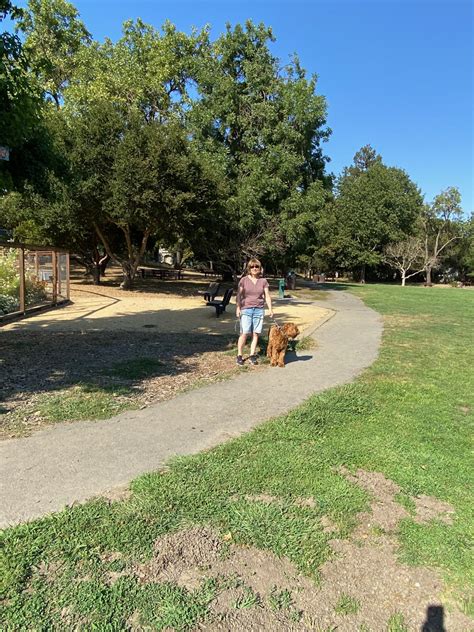 Parks And More – Moraga Citizens Network