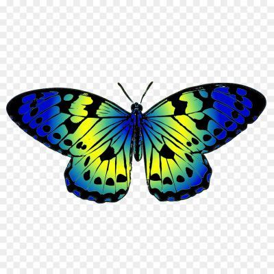 Butterfly Transparent Hd Png - Pngsource