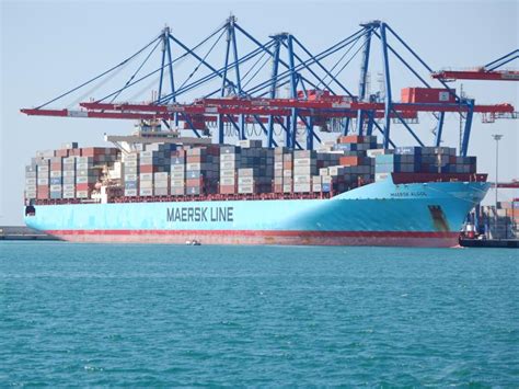 MAERSK ALGOL, Container Ship - Details and current position - IMO ...