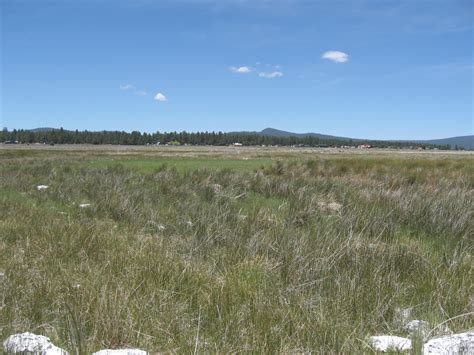 Eagle Lake Water Levels—A Spalding Tract Perspective | Exploring Lassen ...