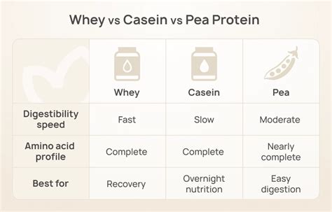 Protein Powder Manufacturing Process: All Kinds of Whey Explained