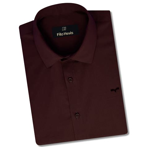 Men's Formal Self Striped shirts