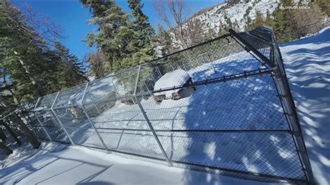 San Diego Humane Society delivers food to animal sanctuary in San ...