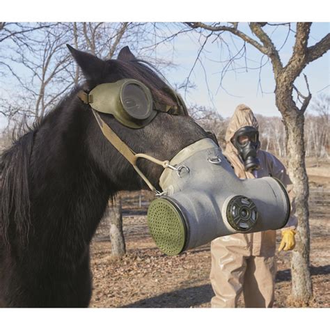 Ww1 Gas Mask Horse World War One Photos. Animals In The First World