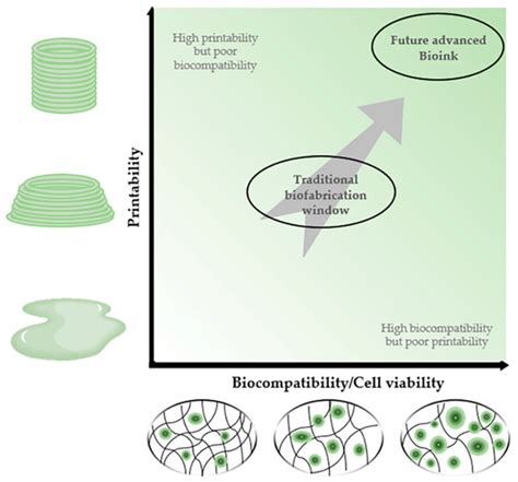 Polymers | Special Issue : Feature Papers in Biomacromolecules ...