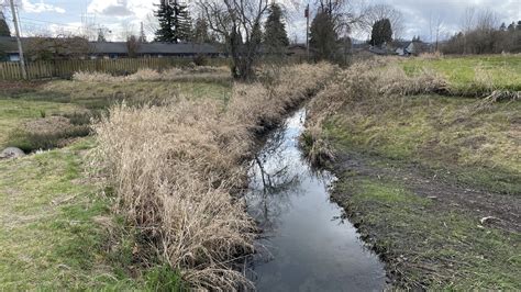 Image result for Roundabout Drop Off Pattern