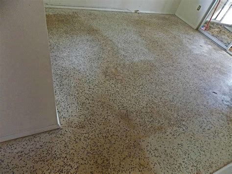 Terrazzo Restoration Before And After - Terrazzo Restoration Blog