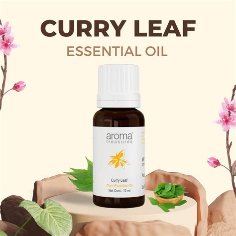Buy Pure Curry Leaf Essential Oil – AromaTreasures.com