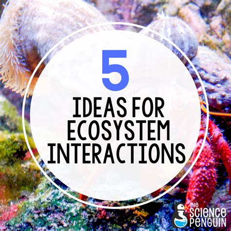 Free Science Lessons Ecosystem 的图像结果