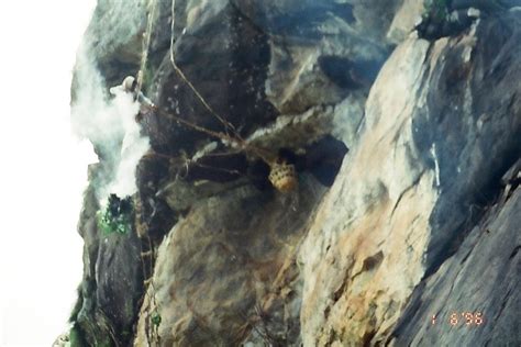 The honey hunters of the blue mountains – Last Forest