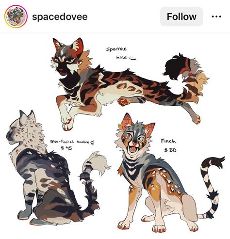 Warrior Cats Design Ideas