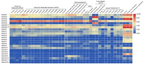 Comprehensive Genome-Wide Identification and Transcript Profiling of ...