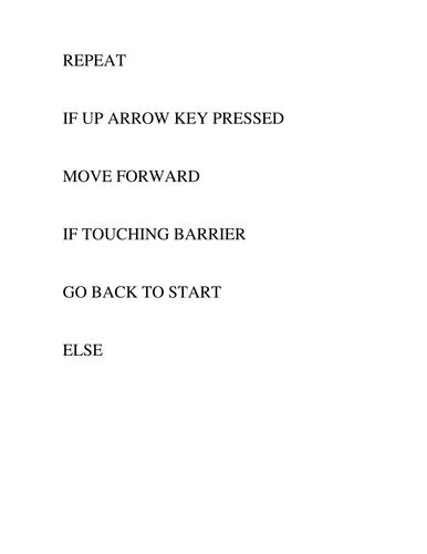 Scratch Coding Algorithms 的图像结果