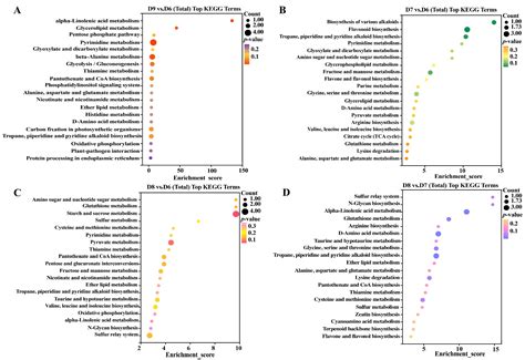Metabolomic Profiling Reveals the Effects of Cu-Ag Nanoparticles on ...