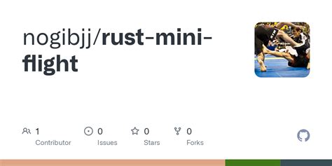 Image result for Mini Flying Rust Servers