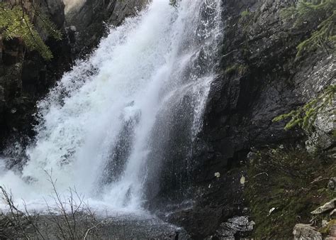Mirror Lake via Monarch Lake Trailhead Camping | The Dyrt