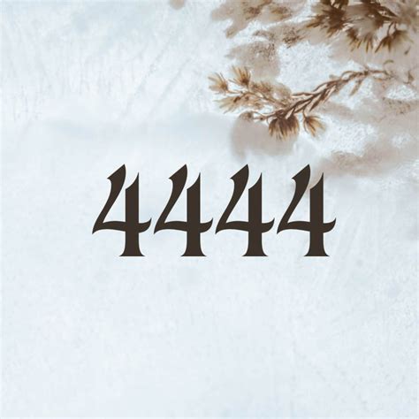 4444 Angel Number Meaning for Love, Money, and Twin Flames