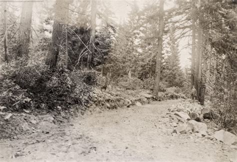 Image result for History Blog Post Example