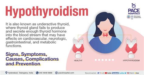 Thyroid Function Test Explained 的图像结果